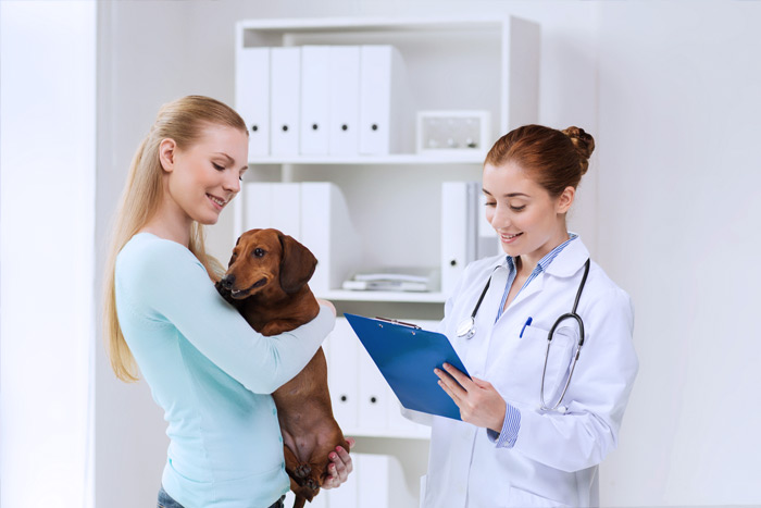 ЭЦП для оформления ветеринарных сертификатов (ГИС Меркурий) в Тамбове